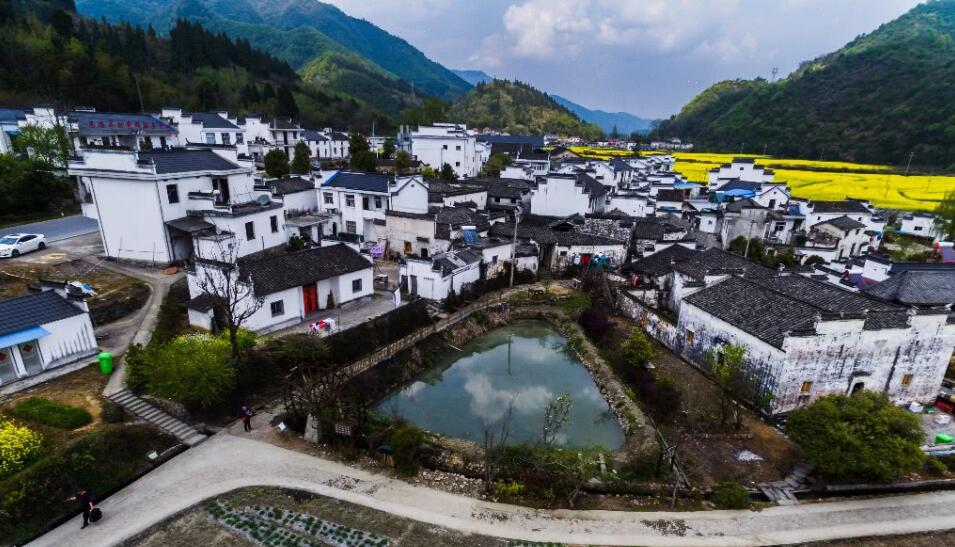 “底线思维”如何做好乡村振兴？