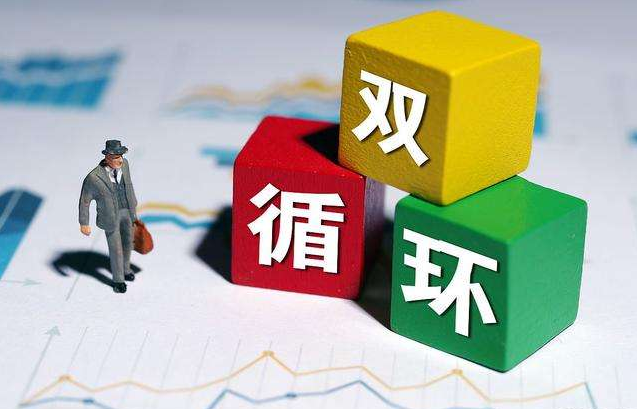聚焦新发展理念，构建双循环新格局