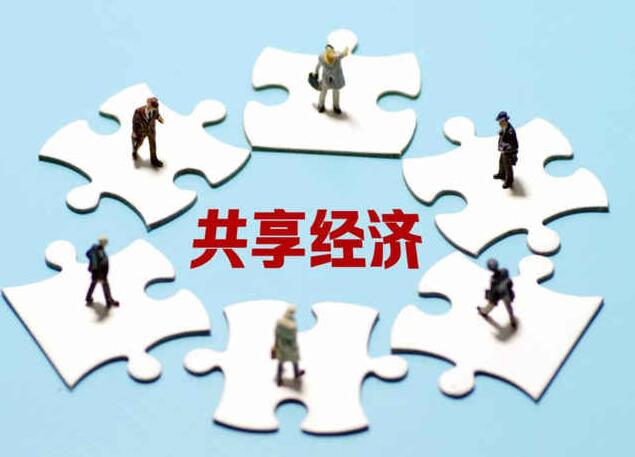 分享经济中的可分享性
