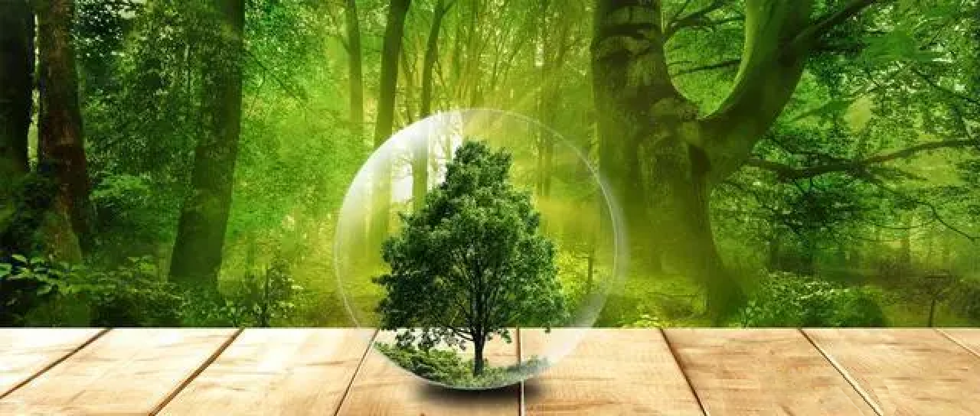 双碳经济实施路径梳理--根据《碳中和经济学》整理