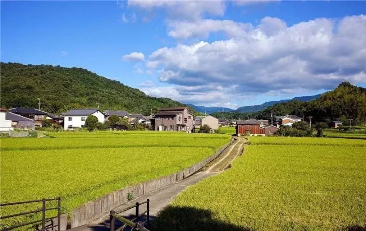 中共中央办公厅 国务院办公厅印发《乡村建设行动实施方案》全文