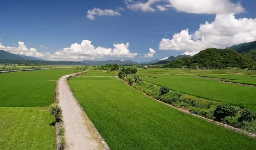 旅游提质增容需多维发力