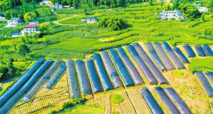 中国科协 国家乡村振兴局关于实施“科技助力乡村振兴行动”的意见