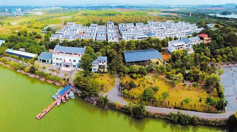 《“十四五”乡村绿化美化行动方案》印发