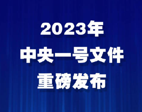 中央一号文件发布，释放强烈信号！