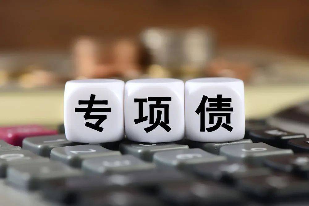 地方专项债项目储备的风险规避与优化路径 