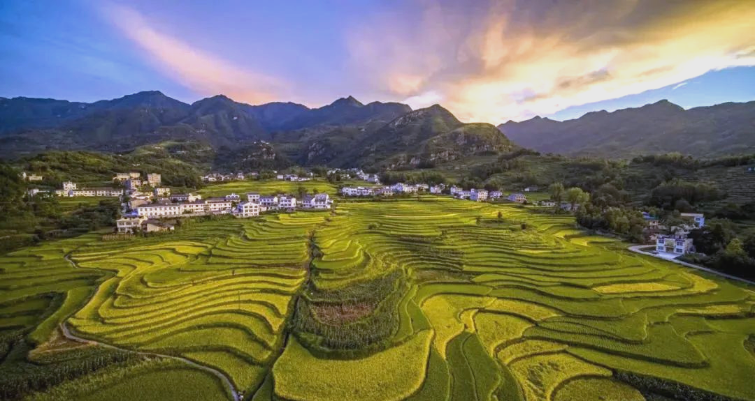 标准为纲，实战为基——中企规划院解锁富硒产业增值密码  